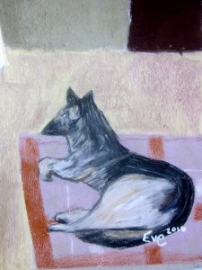 3eve-dog