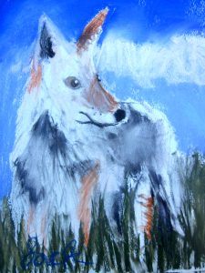 3jack-coyote