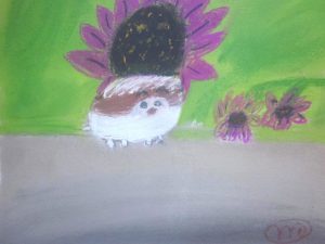 3niamh-hedge