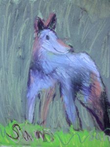 3sam-coyote