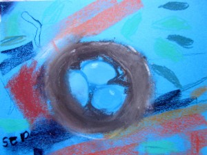 nest-shea
