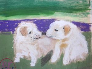 1bill-pups