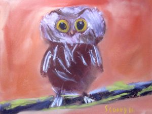1scot-owl