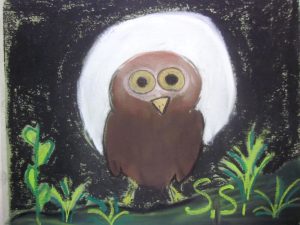 1soph-owl
