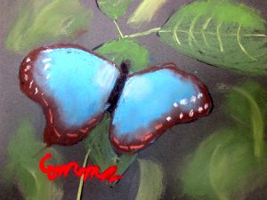 emma's butterfly