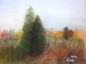 1eve-landscape