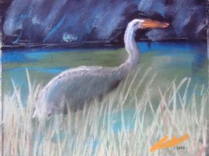 1jill-heron