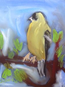2scotty-finch